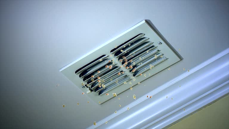 Best Air Duct Cleaning Near Me  in Island City, OR