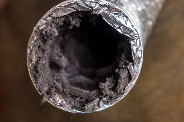 Best Affordable Duct Cleaning Services  in Island City, OR