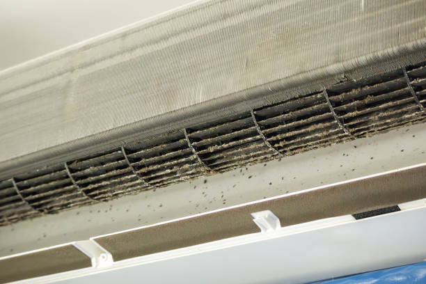 Best Air Duct Cleaning Near Me  in Island City, OR