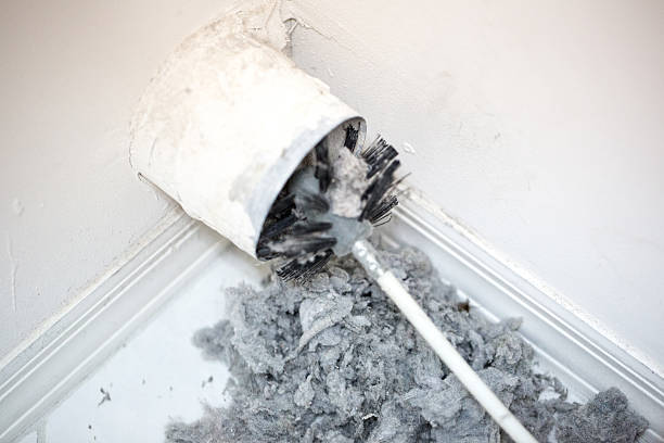 Best Affordable HVAC Duct Cleaning  in Island City, OR